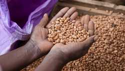 2018 Summer Appeal - TOOLS FOR LIFE!