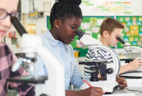 Microscope and Accessories (STEM Instruction)