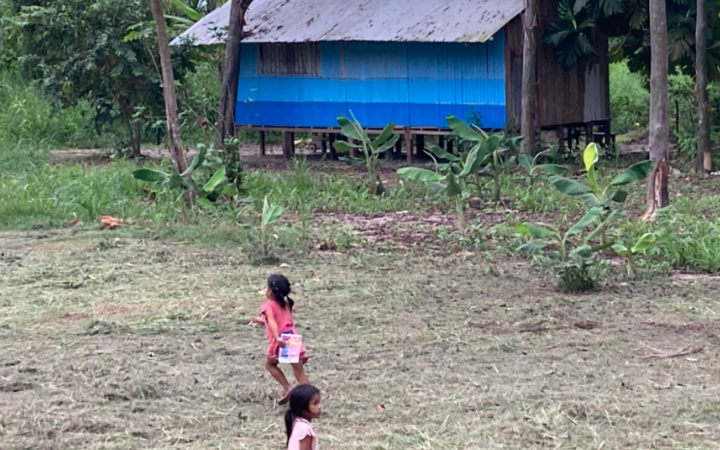 Freedom from fear and violence (all Peru projects)