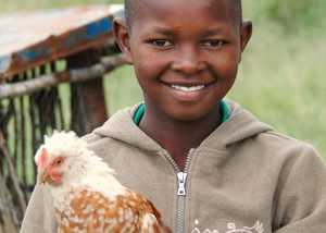 Child holding a donated chicken
