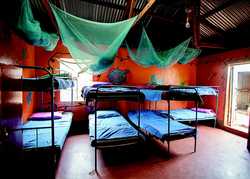 Mosquito bed nets