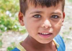 Provide shelter and care for an exploited child